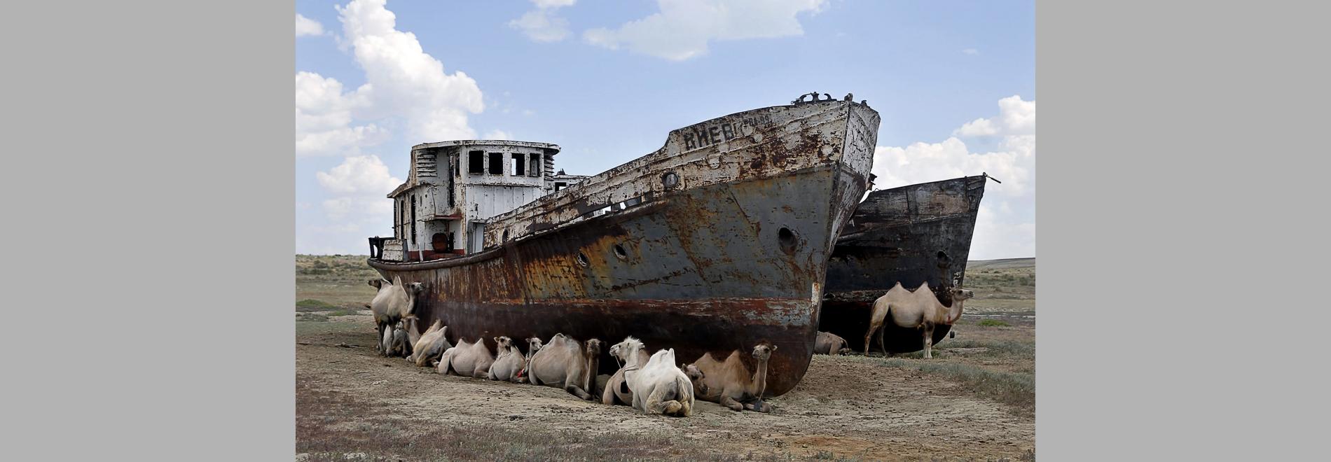 Aral. El mar perdido (Isabel Coixet, 2010)