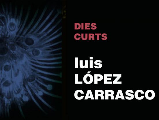 Luis Lopez Carrasco