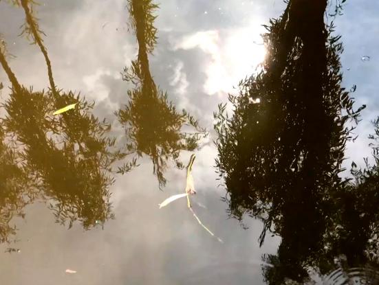 Cheers to our wishes