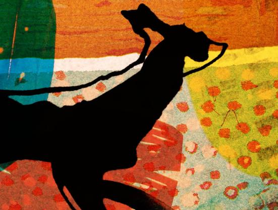 Isabel Herguera. El desig d’un lloc imaginat