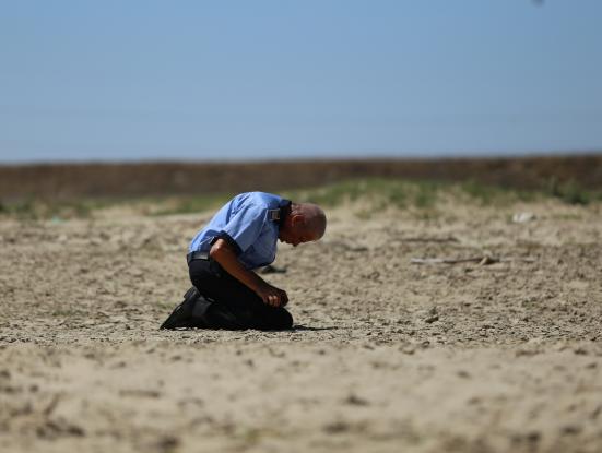 Câini / Perros (Bogdan Mirica, 2016)