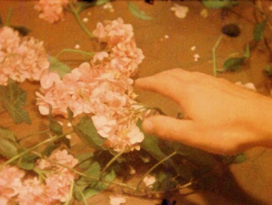 Gregory J. Markopoulos, una referència de l’altre cinema