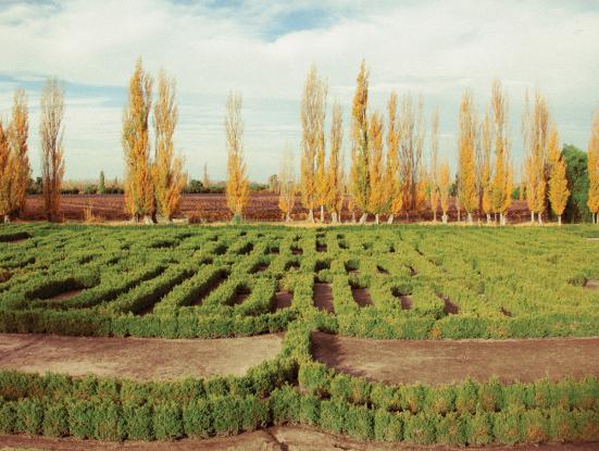 Paradís perdut. Cinema i jardí