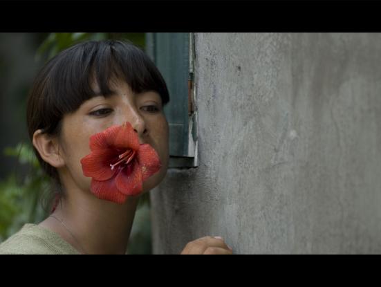 Cineastes llatinoamericanes