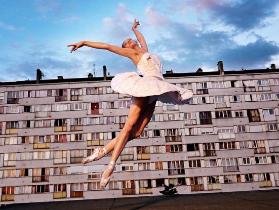 Les bosquets (JR, 2015)