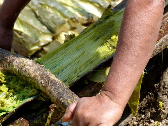 “Els rics van on volen, els pobres on poden”: la frontera