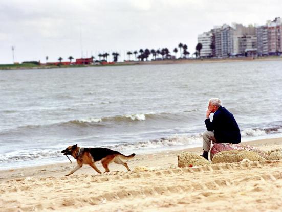 Persona non grata (Krzysztof Zanussi, 2005)