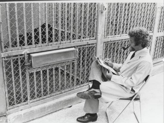 Primate (Frederick Wiseman, 1974)