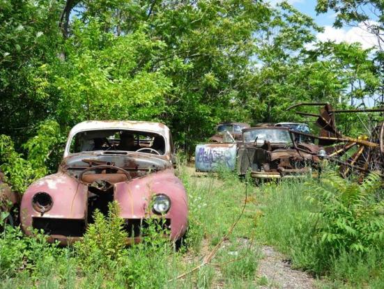 Julian Temple, britànic, anarquista i músic 