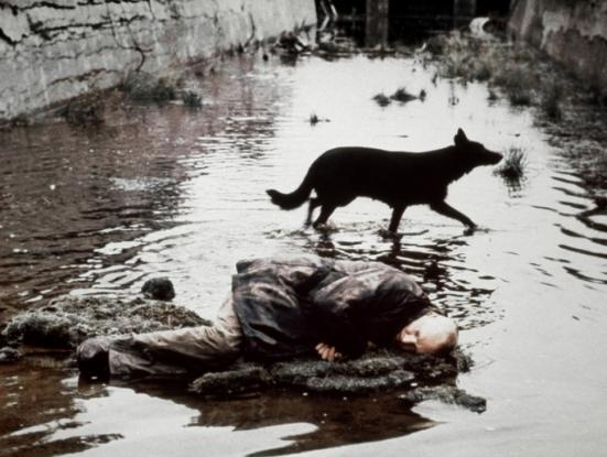 Stalker (Andrei Tarkovski, 1979)