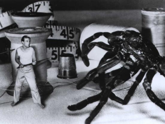 The Incredible Shrinking Man (Jack Arnold, 1957)