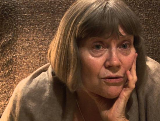 The Man Who Loves Books. Homage to Josep Ramon Llobera (Roger Canals, 2015)