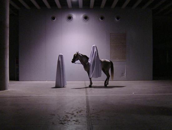 20 anys de l'Alternativa