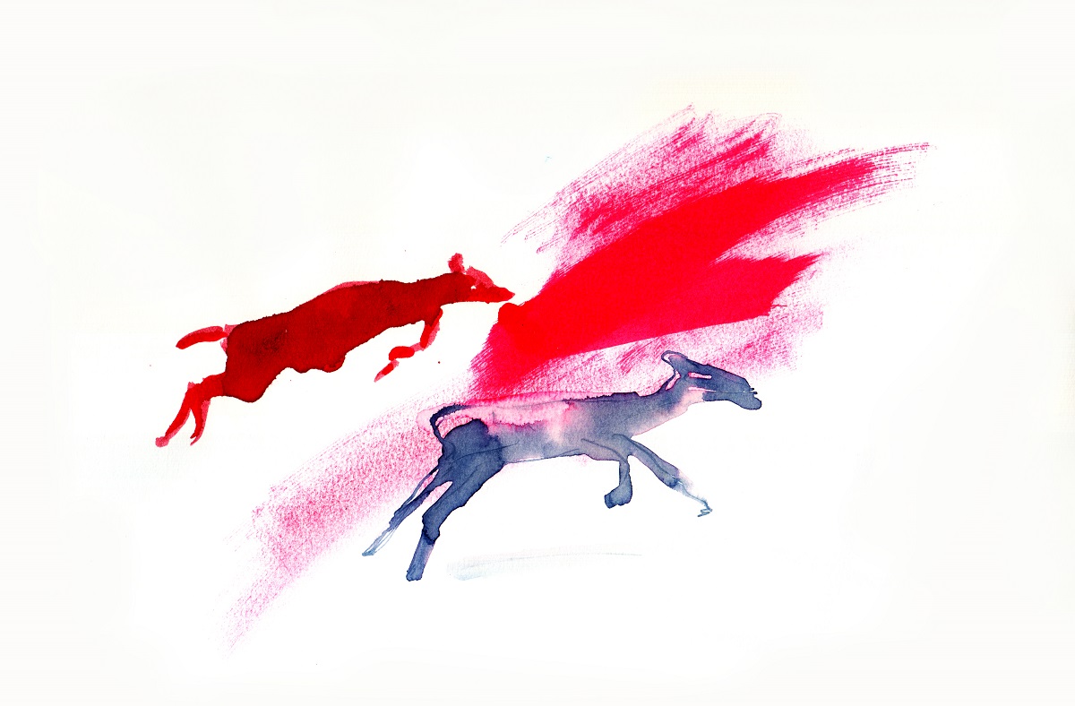 Dibuixos de gaseles per Amore d'inverno (Isabel Herguera, 2015).