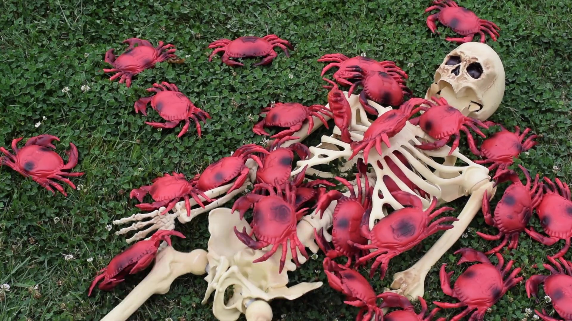 Cocaine Crabs from Outer Space