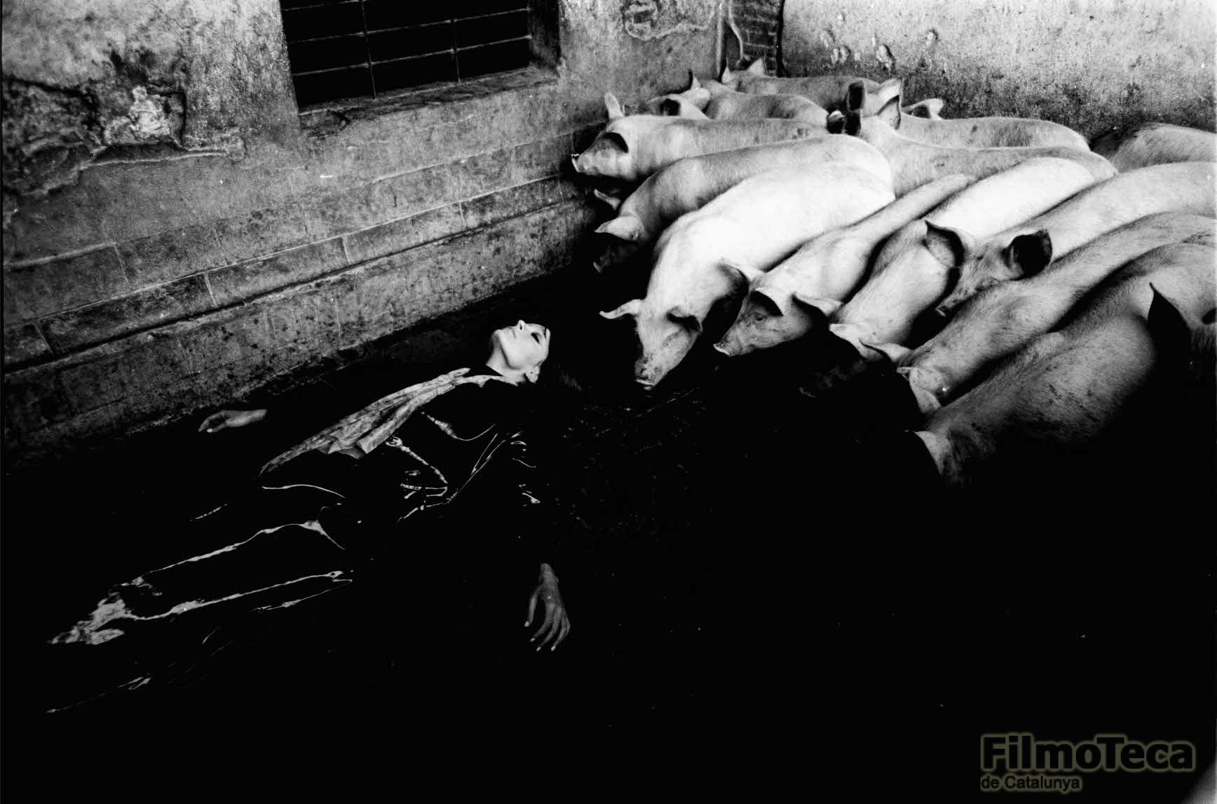 Romy al rodatge de 'Metamorfosis'. Jacinto Esteva, 1970