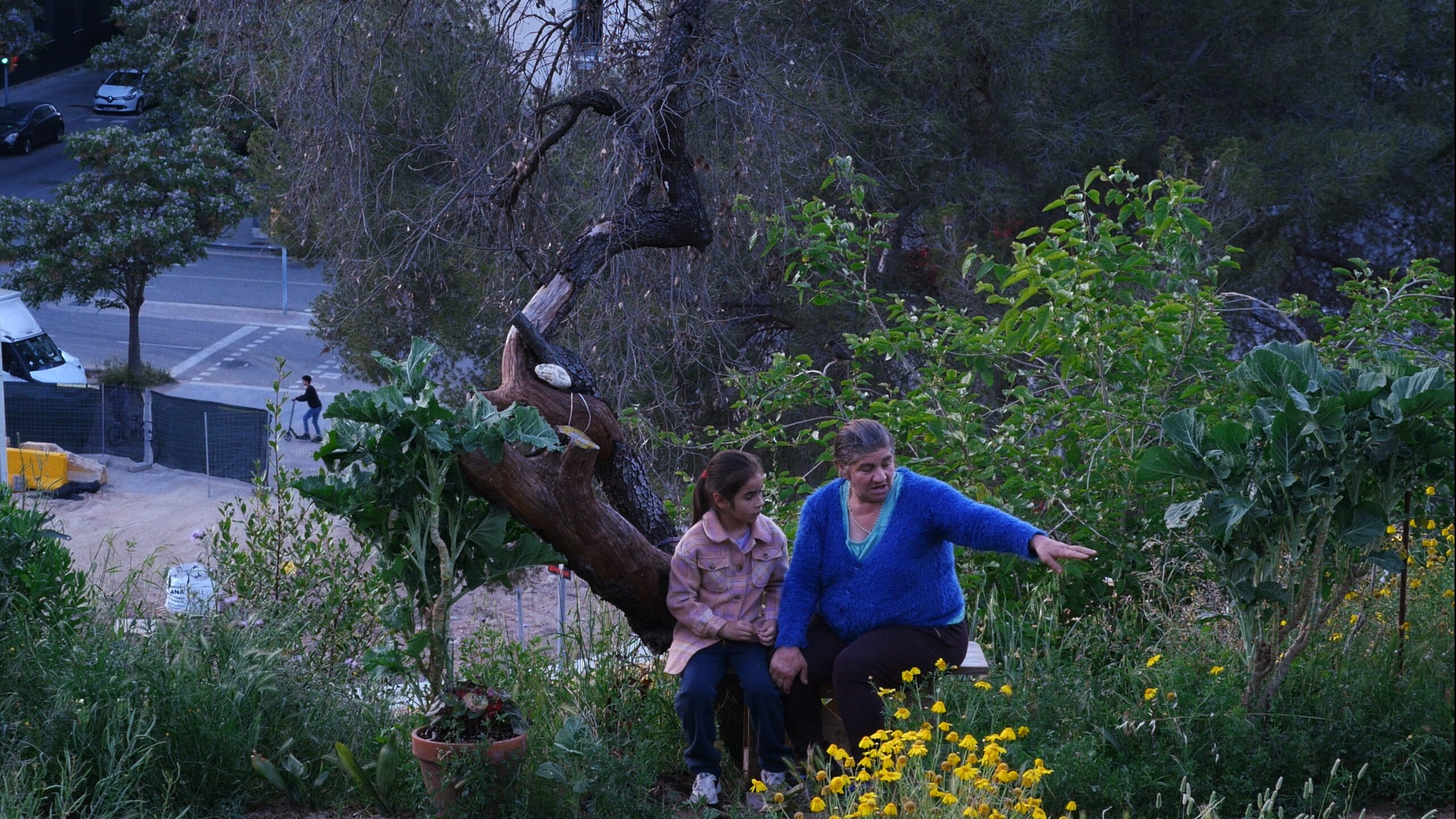 Historias del buen valle