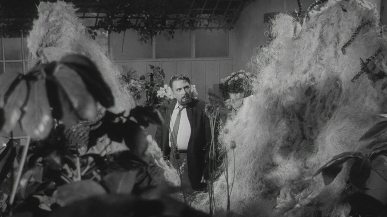 Little Shop of Horrors