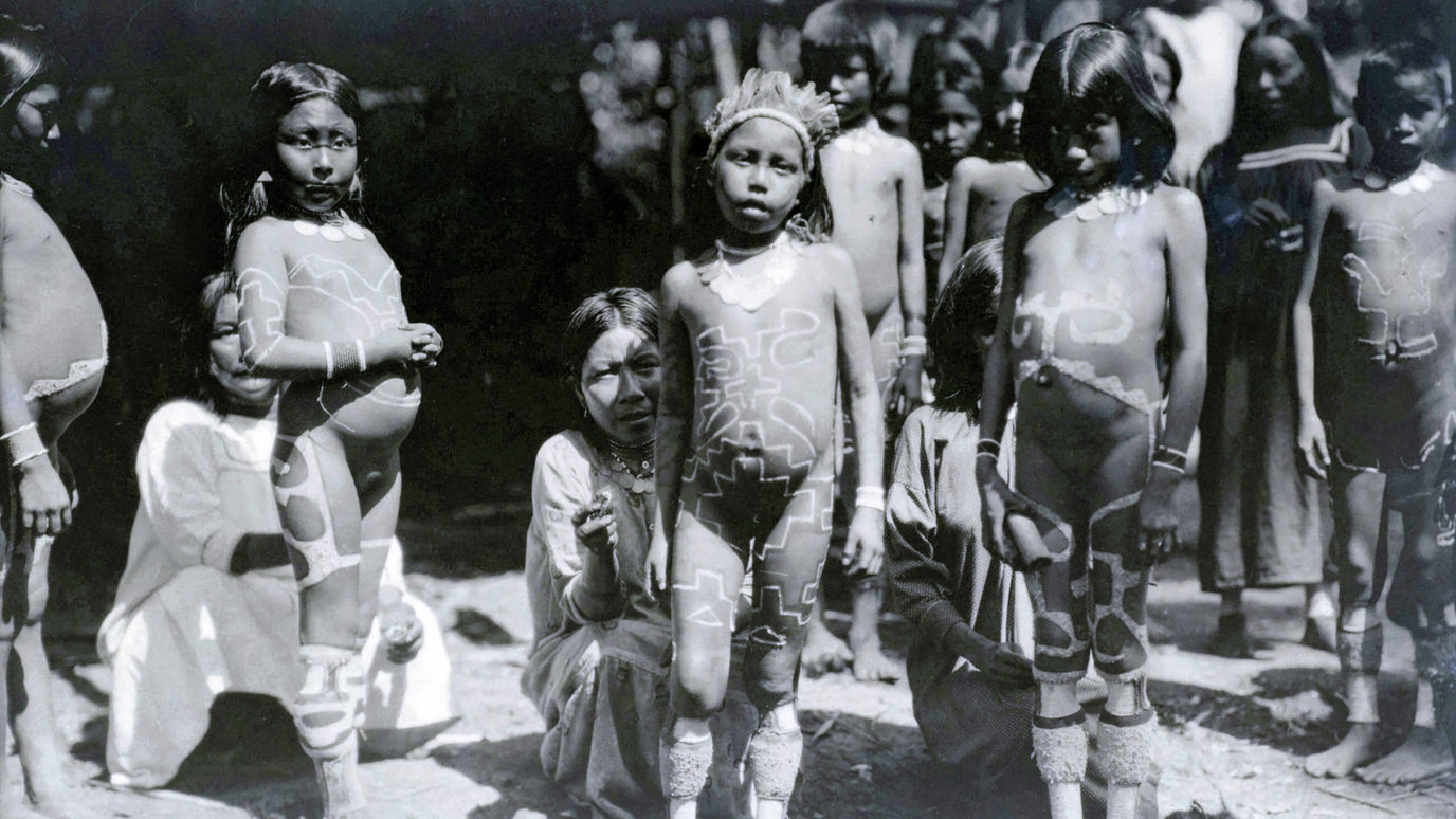 Marquis de Wavrin. Du manoir à la jungle