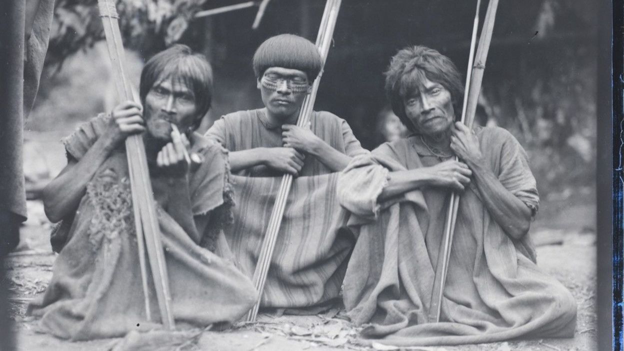 Du manoir à la jungle 