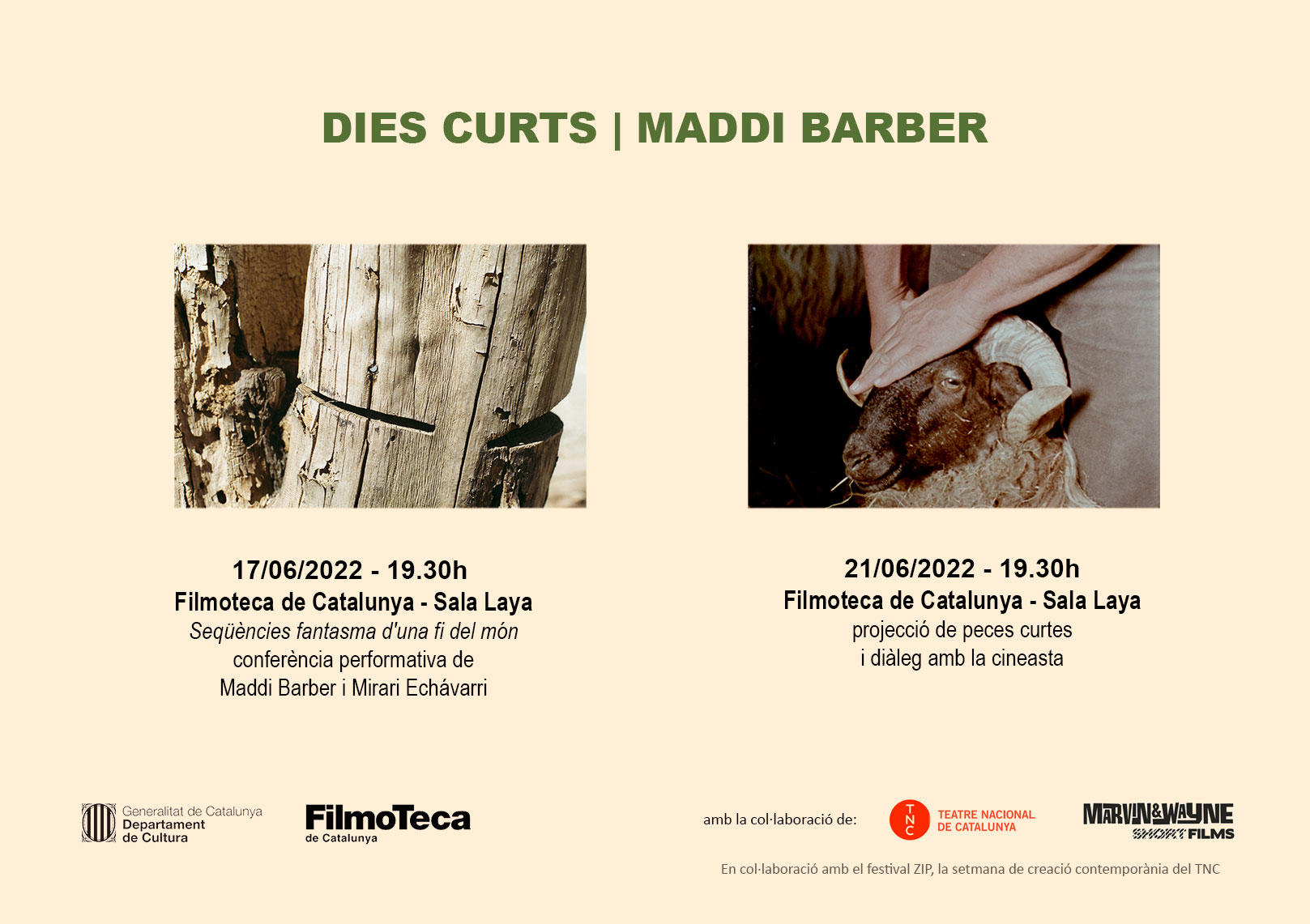 Dies curts - Maddi Barber