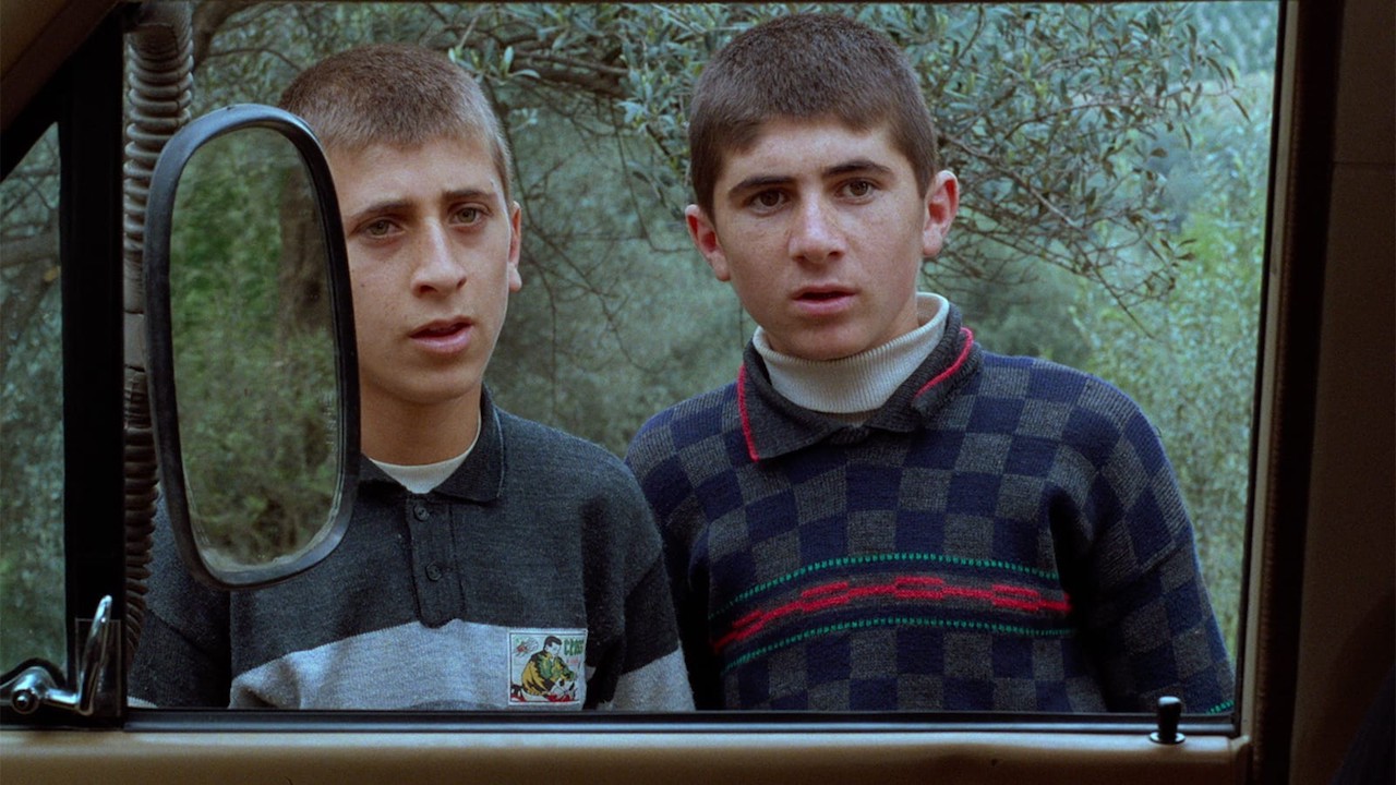 Zire darakhatan zeytonta'm e