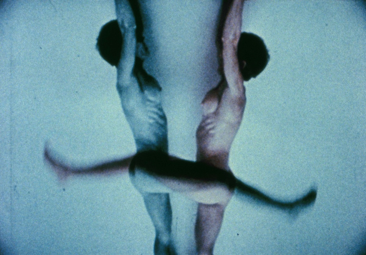 Double Strength - Barbara Hammer