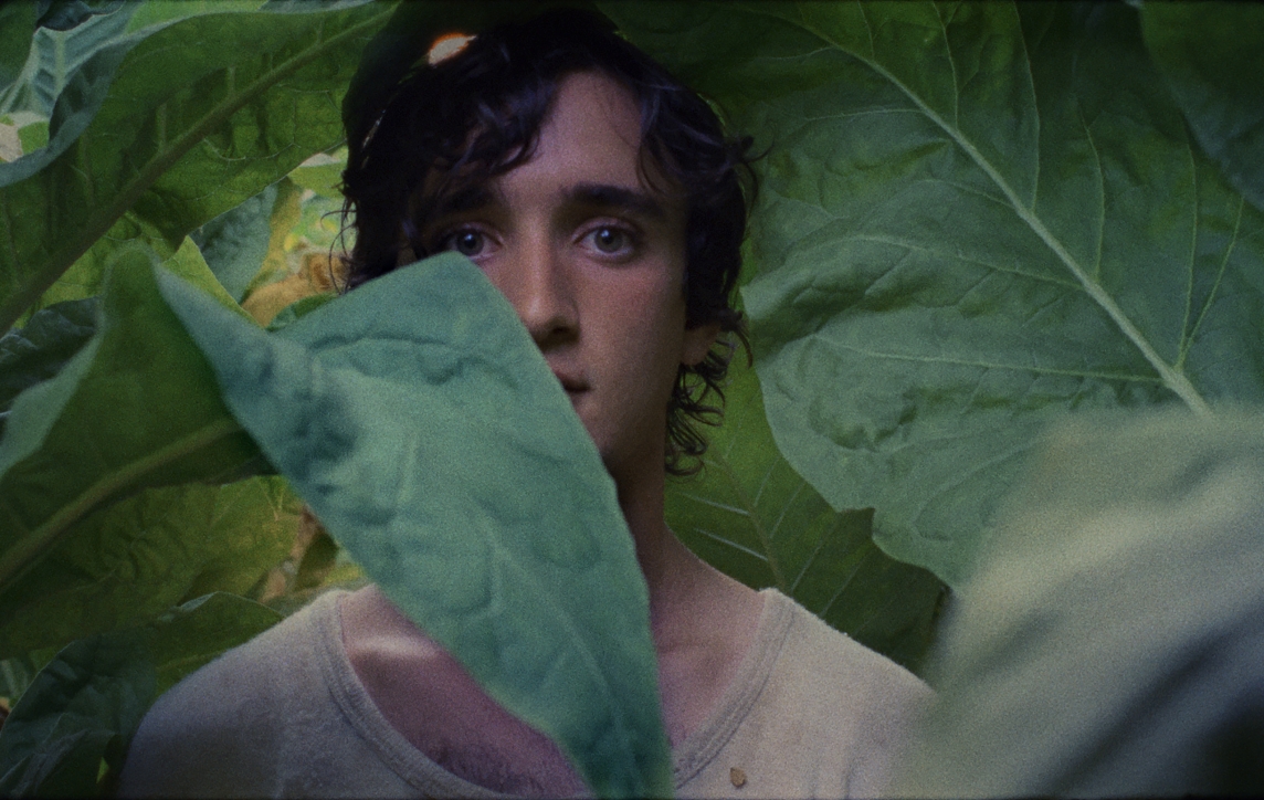 Lazzaro Felice