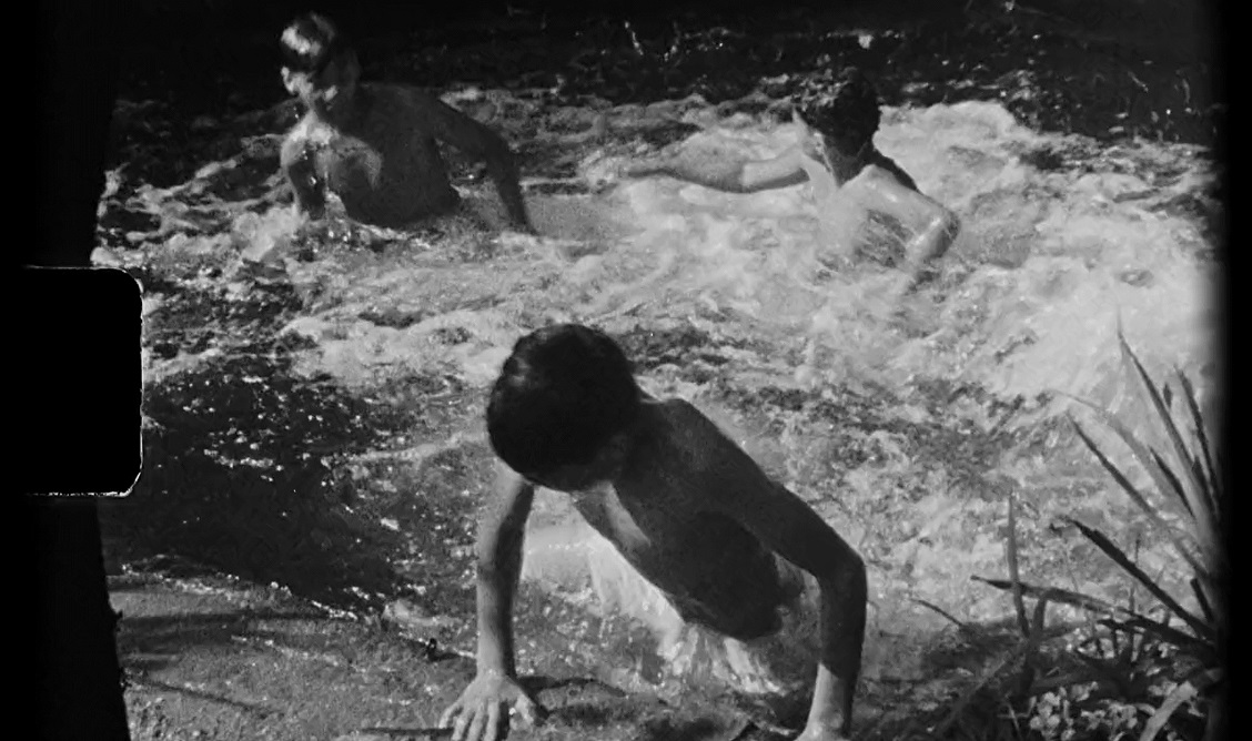 Primeras impresiones de José Luis Guerín