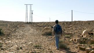 Pastorales elèctriques