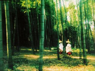 Tokiwa. Copyright: kanatasha