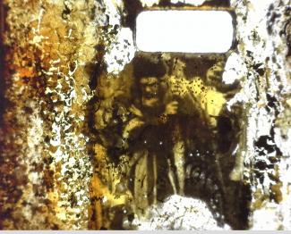 Fragment pel·lícula amb imatge conservada