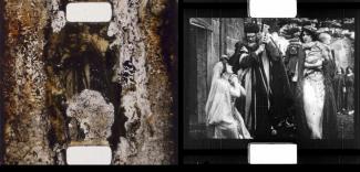 Identificació comparativa