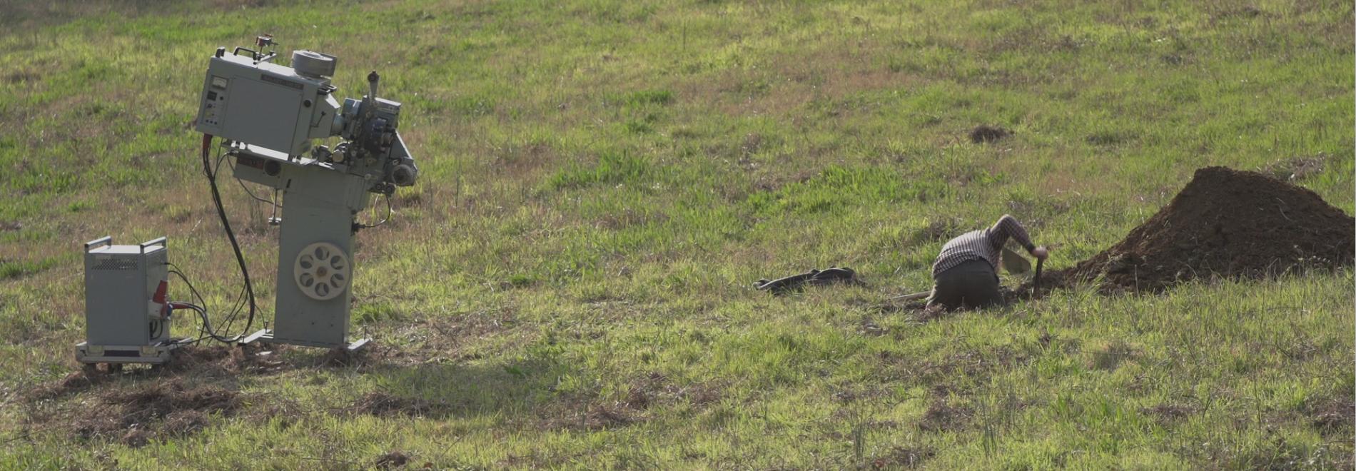 Donar cabuda. Perejaume