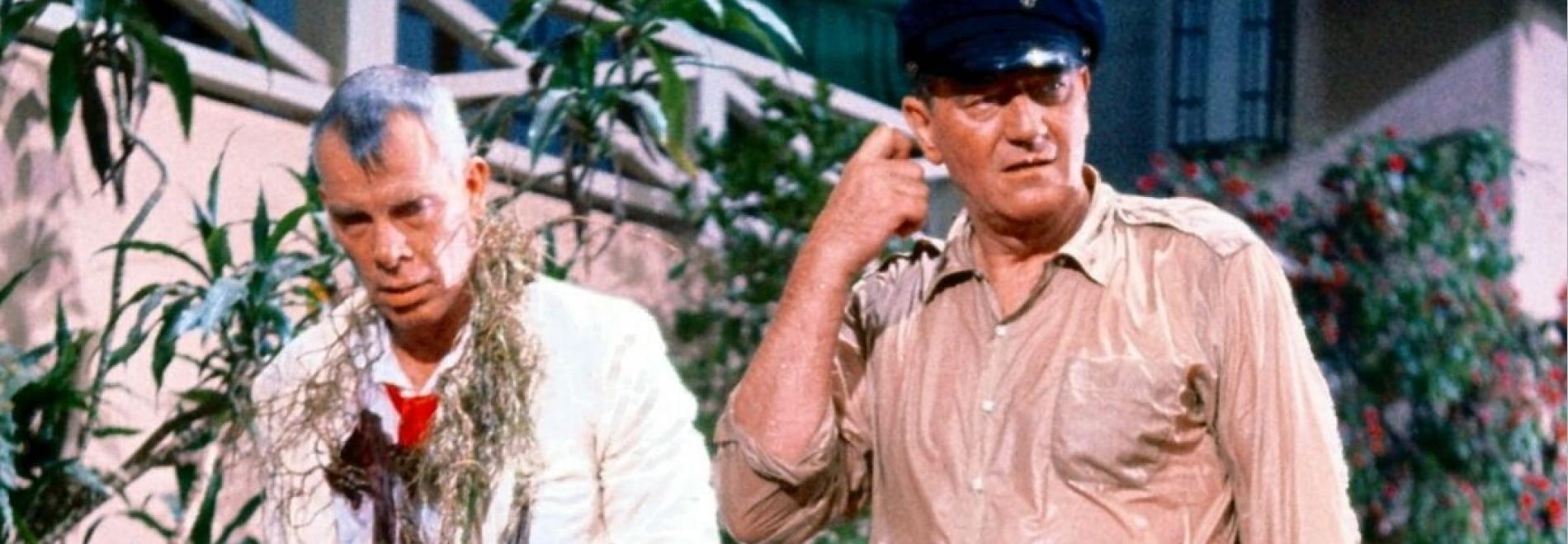 Donovan's Reef (John Ford, 1963)