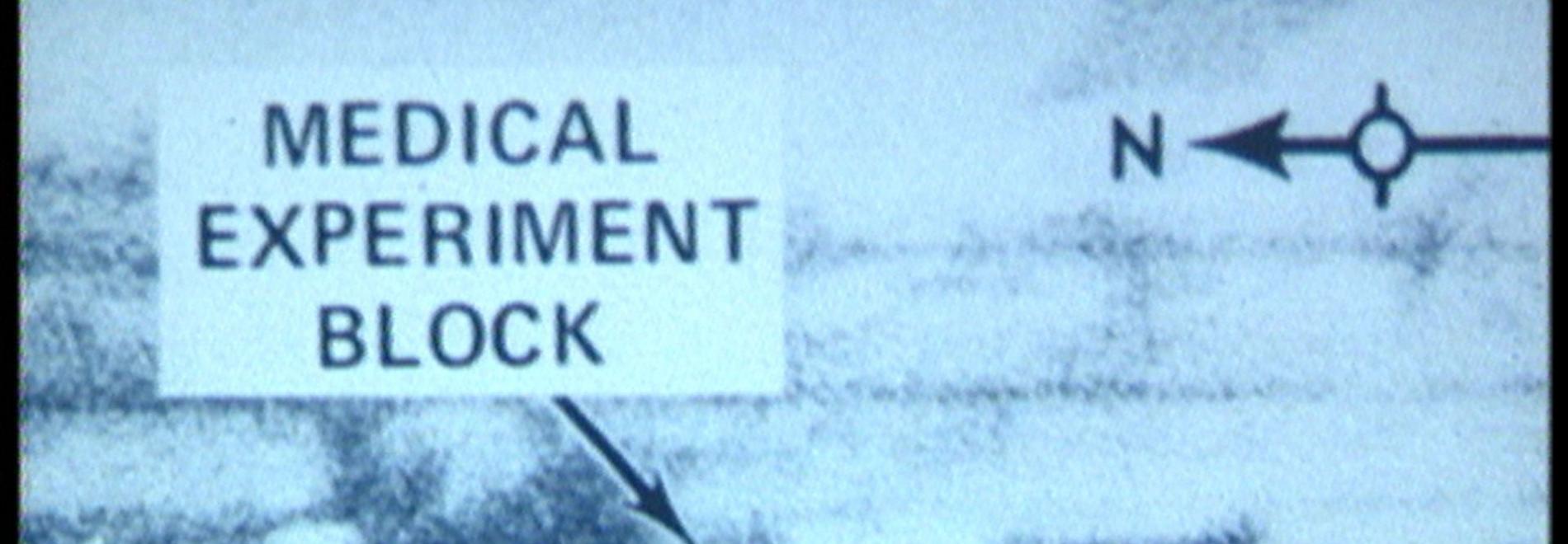 Les imatges del món i la inscripció de guerra 