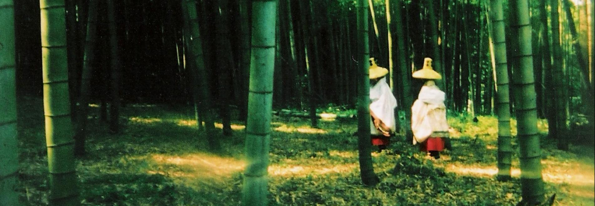 Tokiwa - Sumiko Haneda