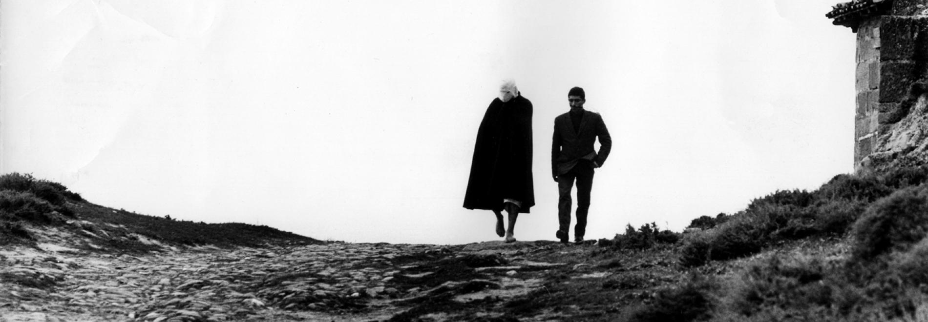 Lejos de los árboles