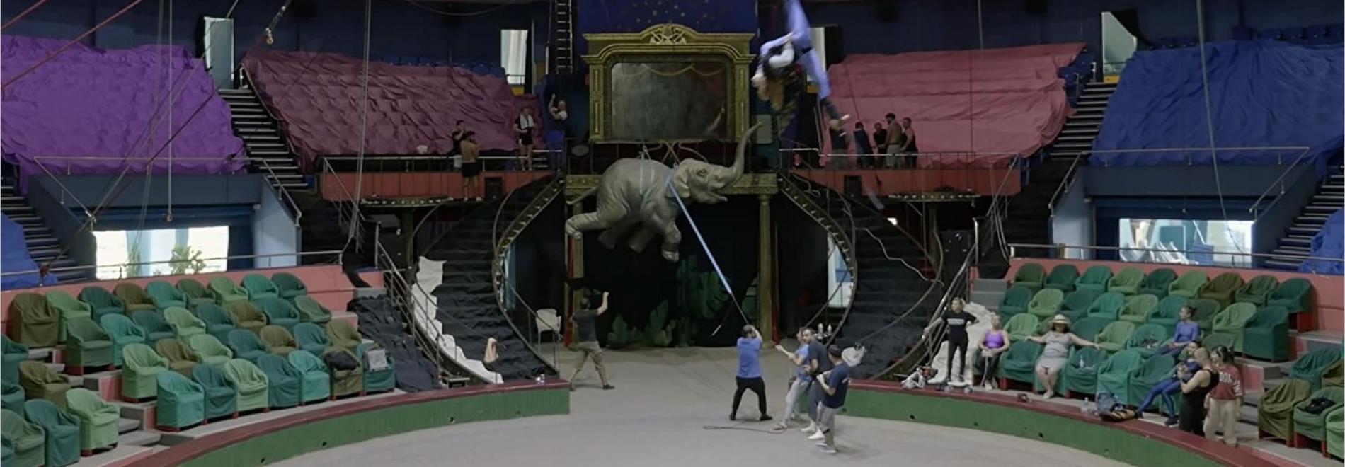 No Elephant in the Room