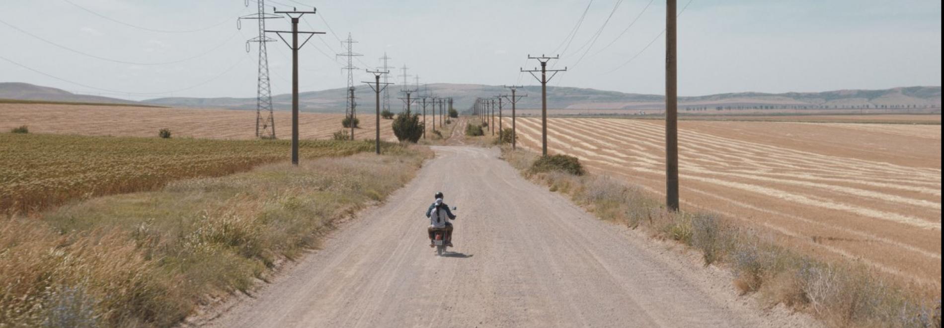 Cinema romanès actual | 2025