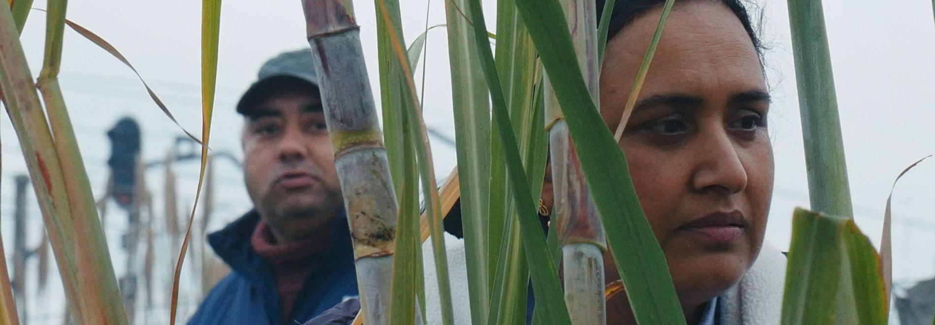 Historias del buen valle