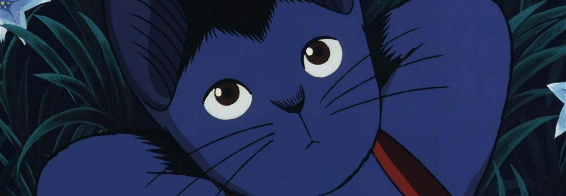 Night on the Galactic Railroad