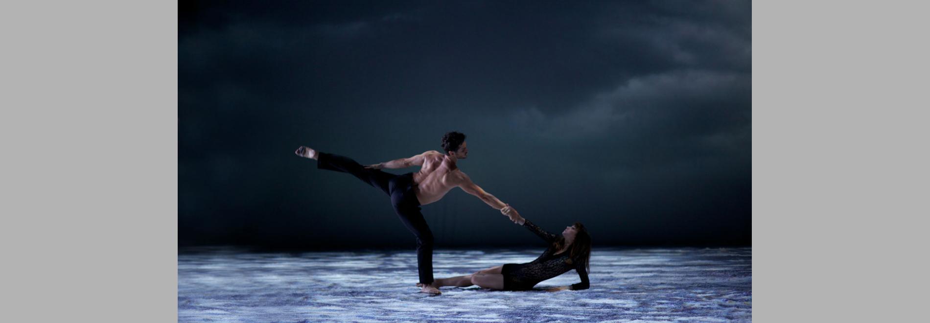Polina, danser sa vie (Valérie Müller, Angelin Preljocaj, 2016)