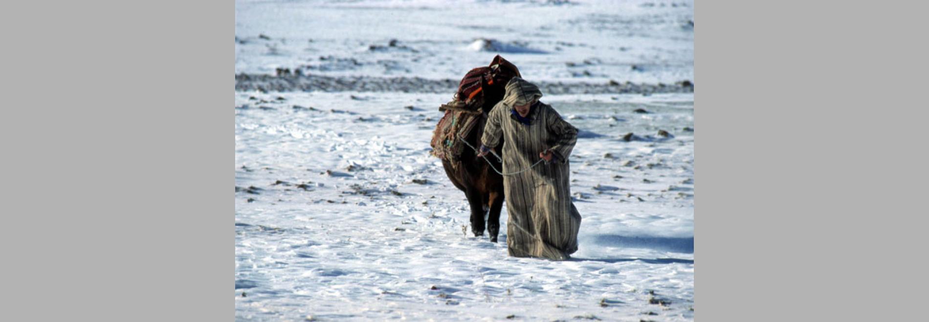 Al malaika la tuhaliq fi al-dar albayda 