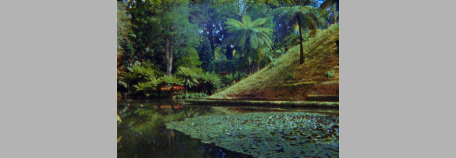 Batrachian's Ballad (Leonor Teles, 2016)