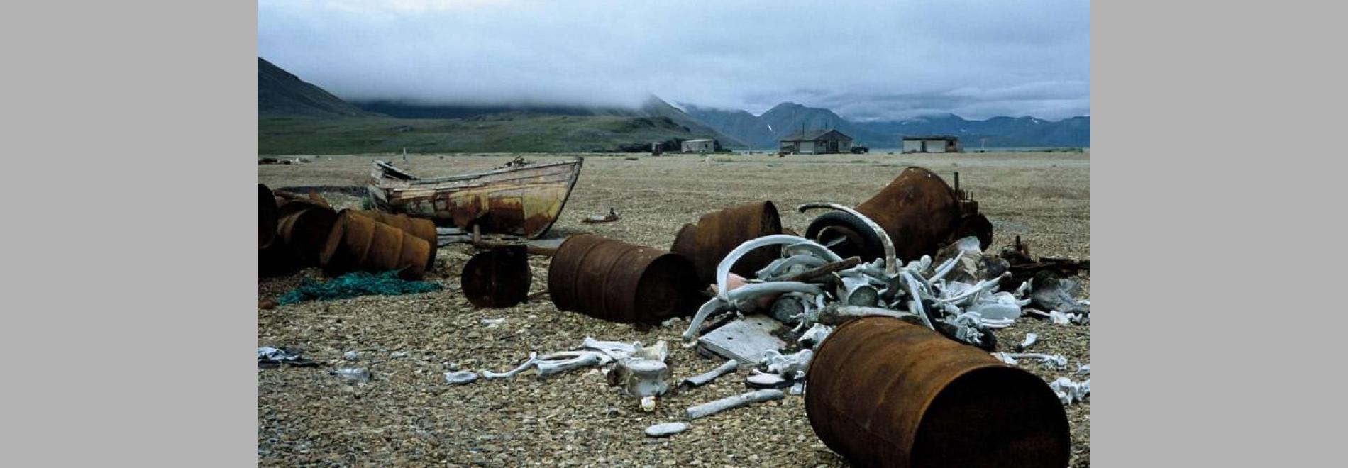 Chamissos Schatten, Kapitel 1: Alaska und aleutische Inseln