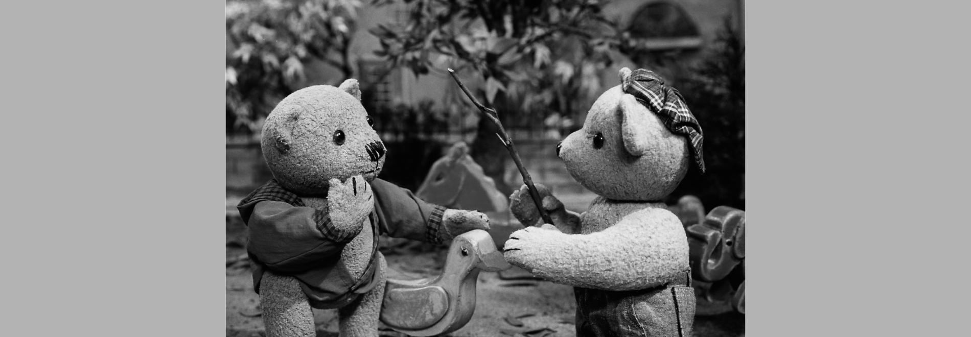 Programa d’animació Co Hoedeman