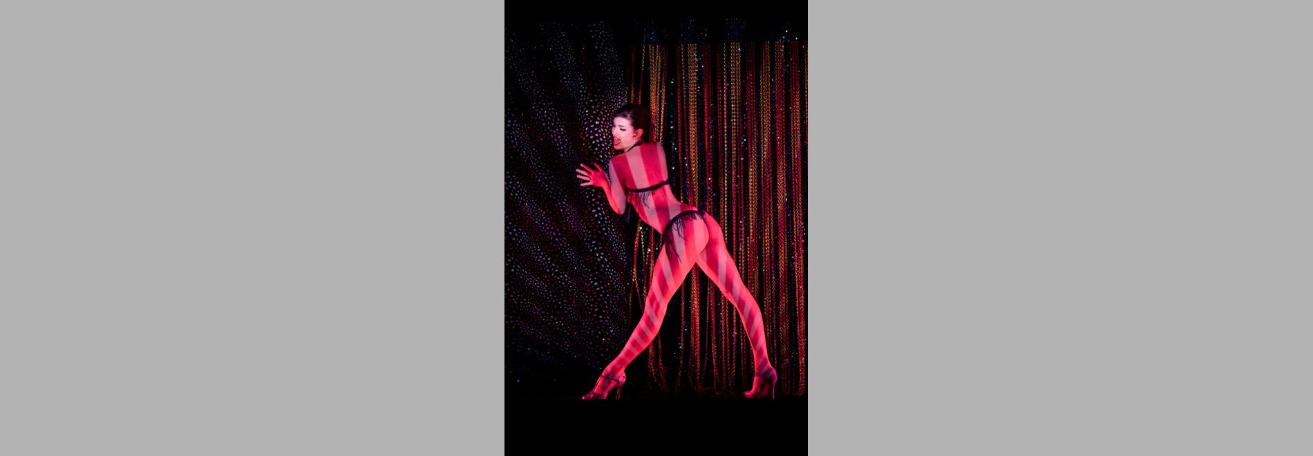 Crazy Horse (Frederick Wiseman, 2011)