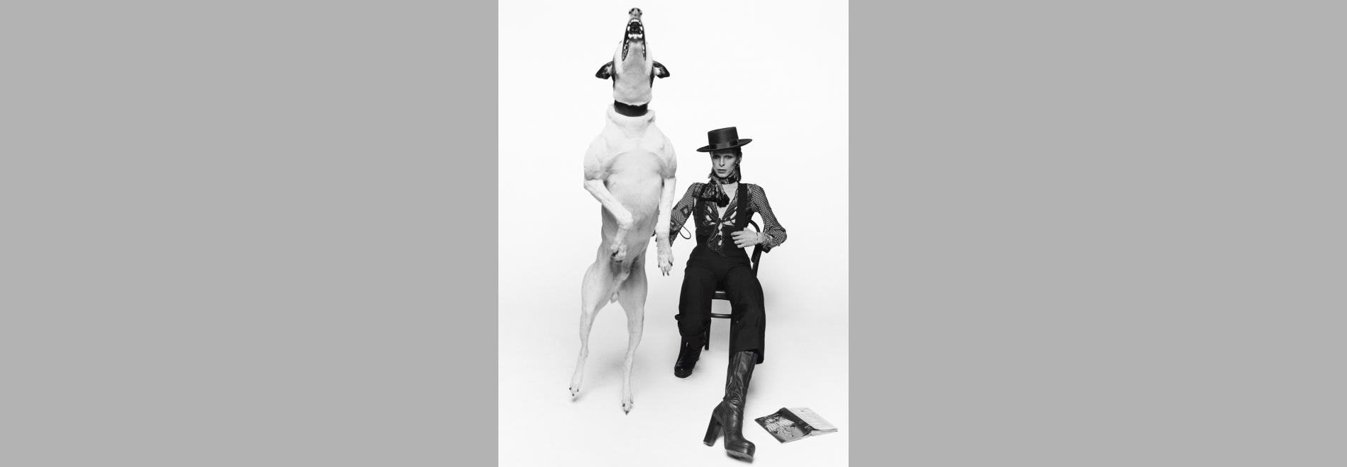 Terry O’Neill. El rostre de les llegendes