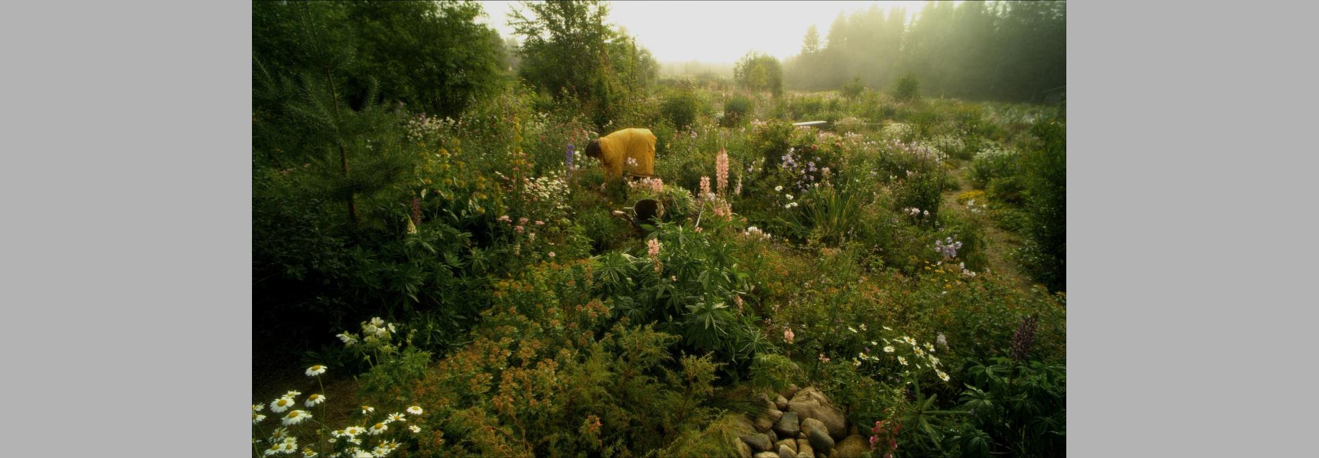 Eedenistä pohjoiseen / Garden Lovers (Virpi Suutari, 2014)